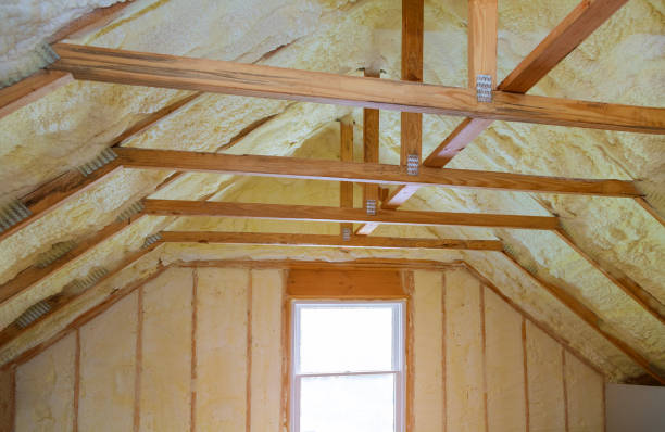 Best Eco-Friendly Insulation in Riverdale, GA
