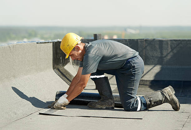 Best Geographic-Specific Insulation Services in Riverdale, GA